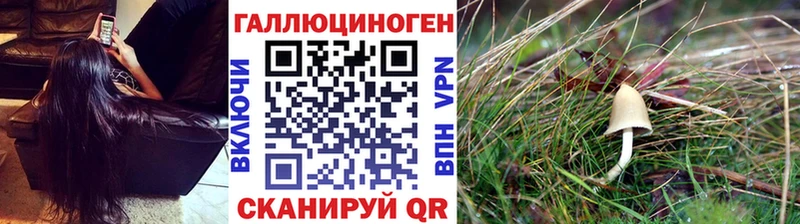 Псилоцибиновые грибы Cubensis  Урюпинск 